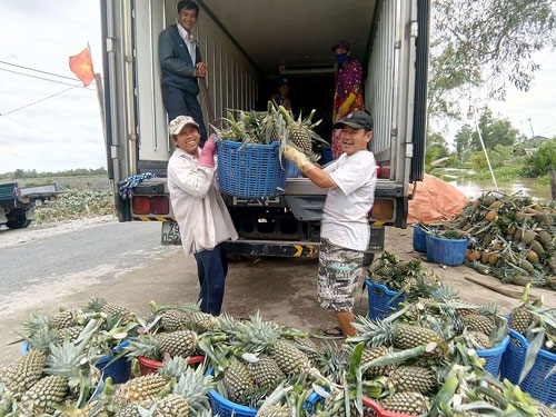Dịch vụ vận chuyển trái cây giá rẻ uy tín toàn quốc