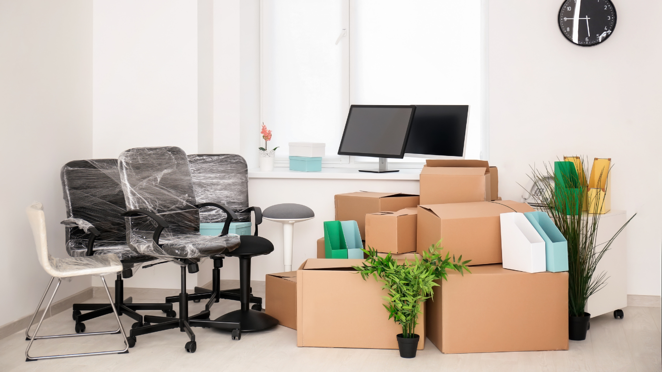 Cách Vận Chuyển Cây Cảnh Khi Chuyển Nhà An Toàn